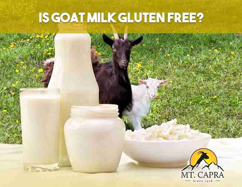 gluten free goat milk and goat