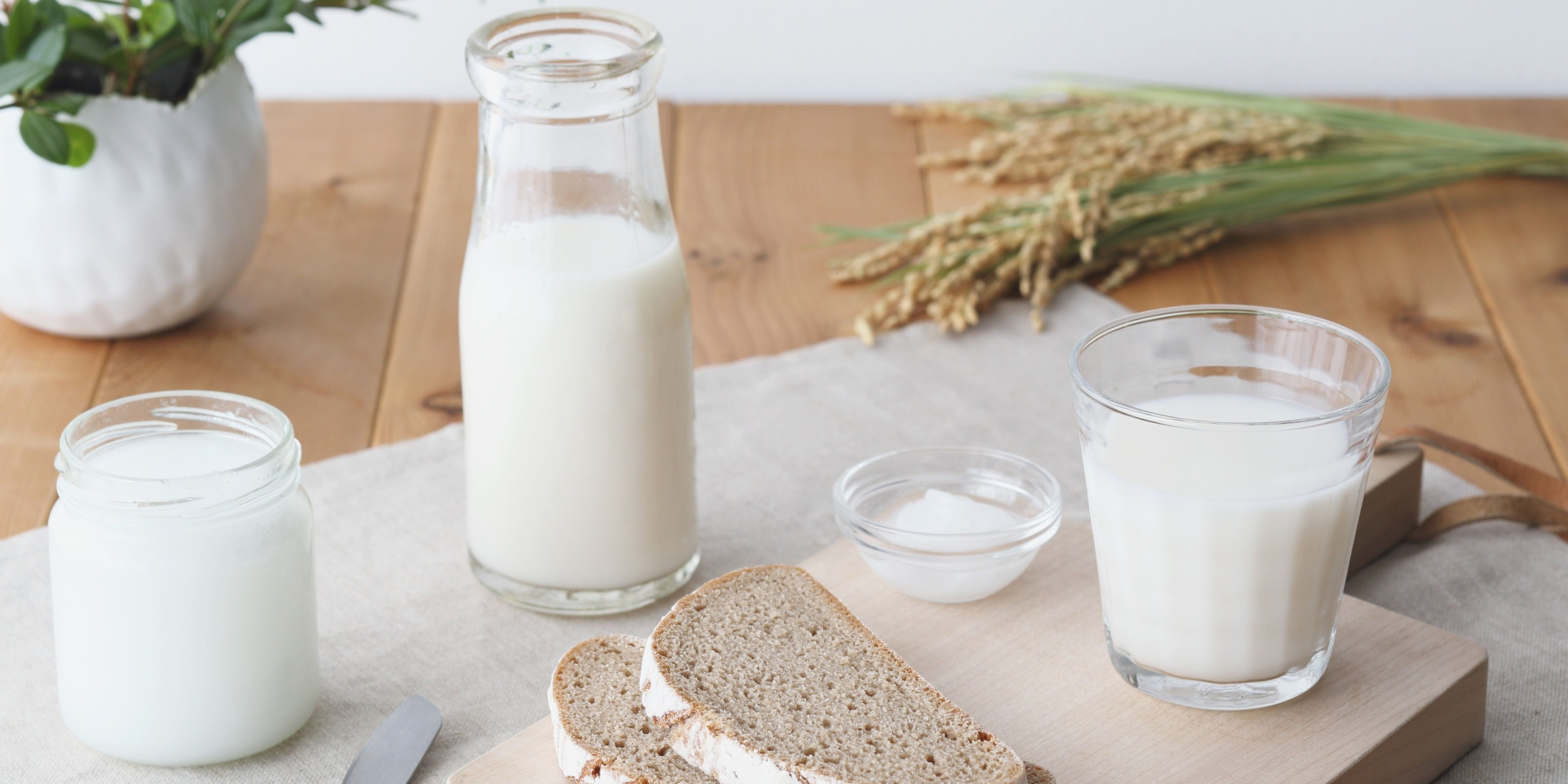 5 Tips to Improve the Digestibility of Milk