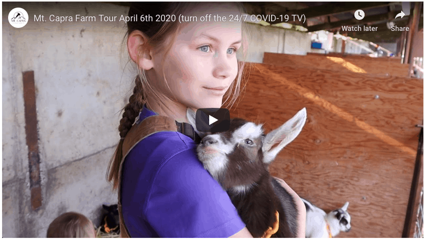 COVID-19 Update + Virtual Farm Tour
