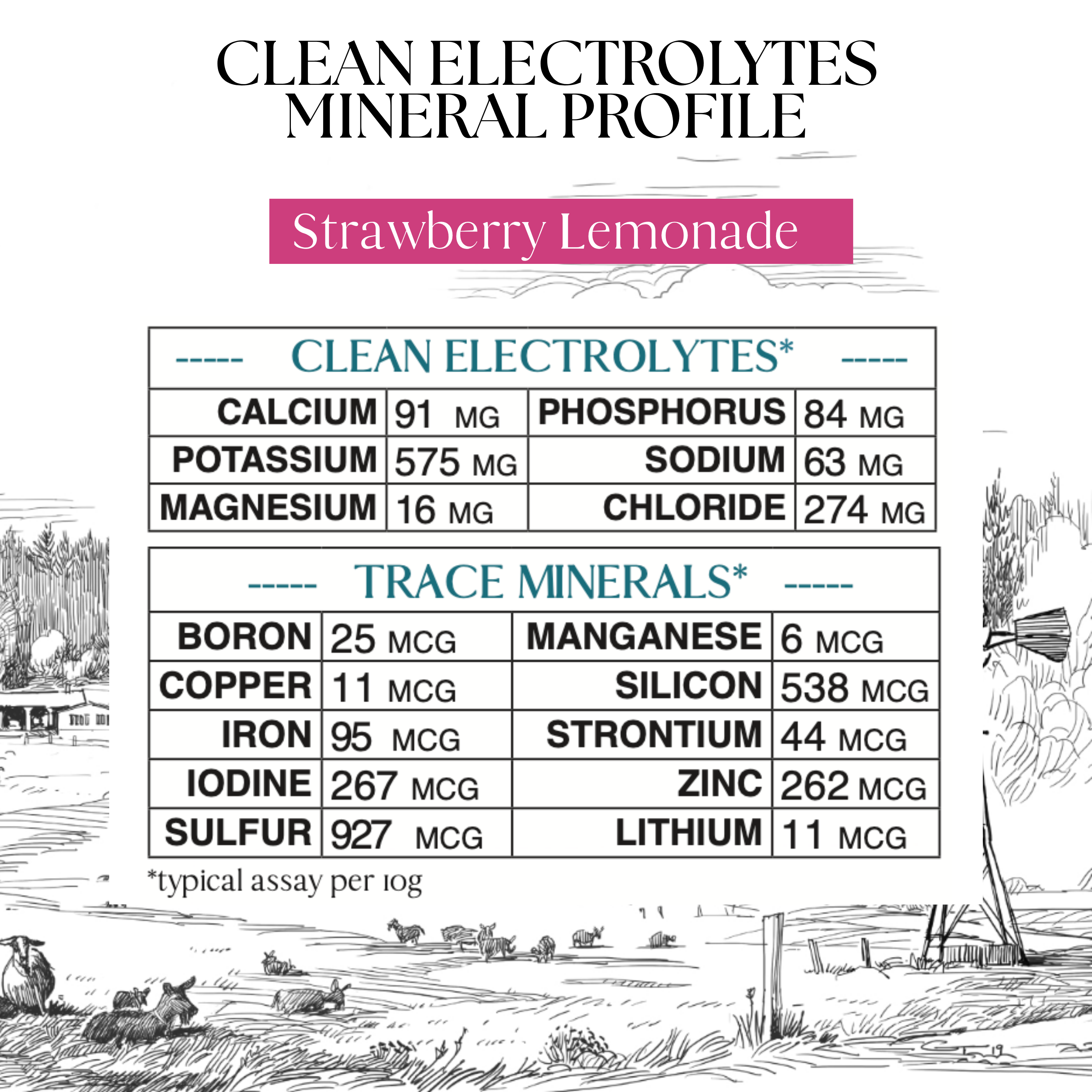 Clean Electrolytes + Trace Minerals