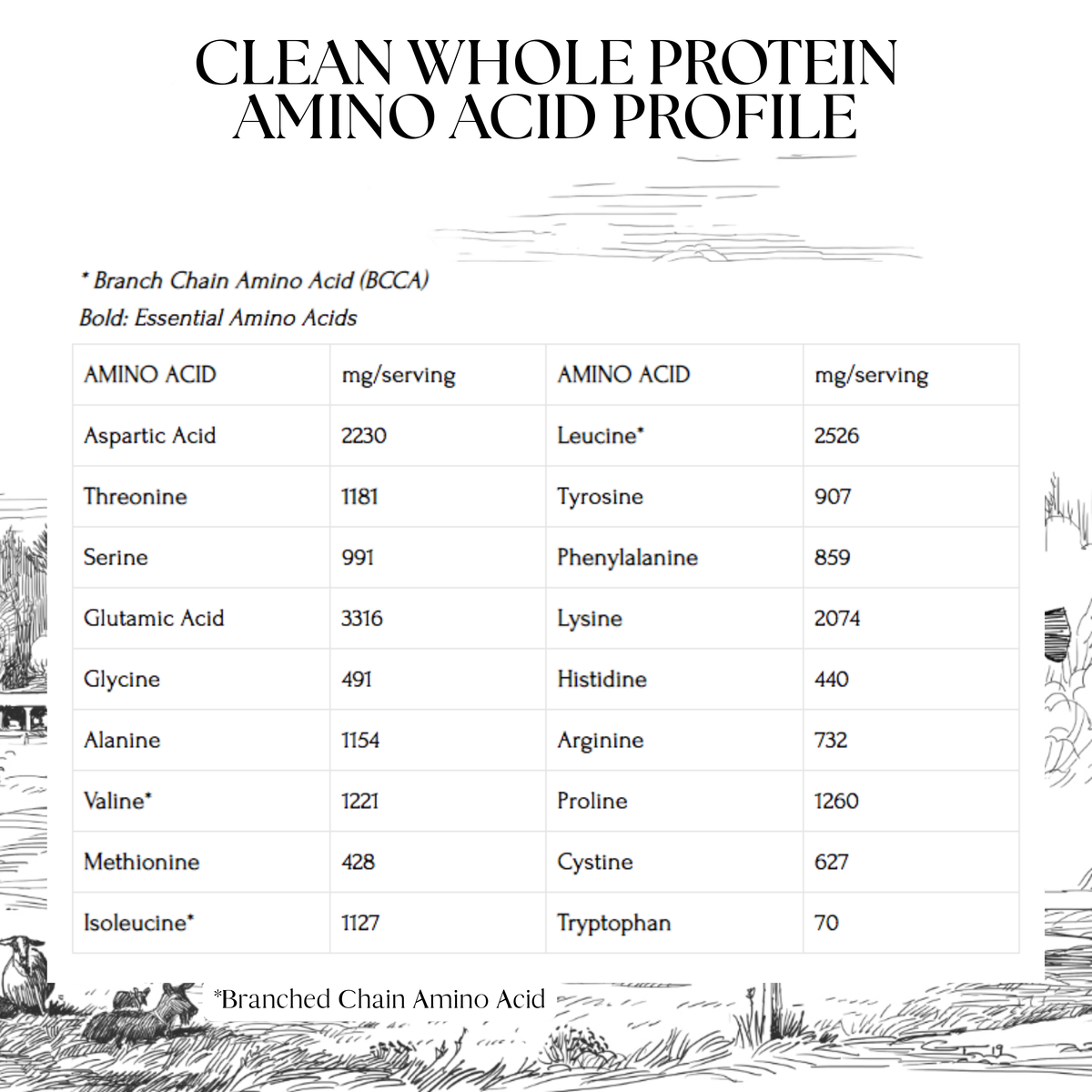 CLEAN Whole Protein