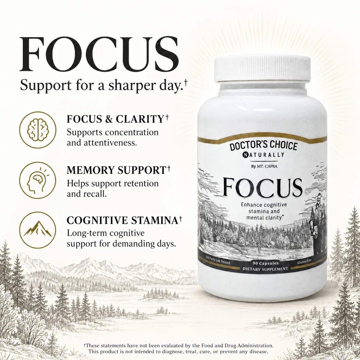 Focus
