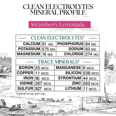 Clean Electrolytes + Trace Minerals