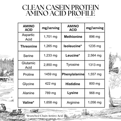 Clean Casein Protein