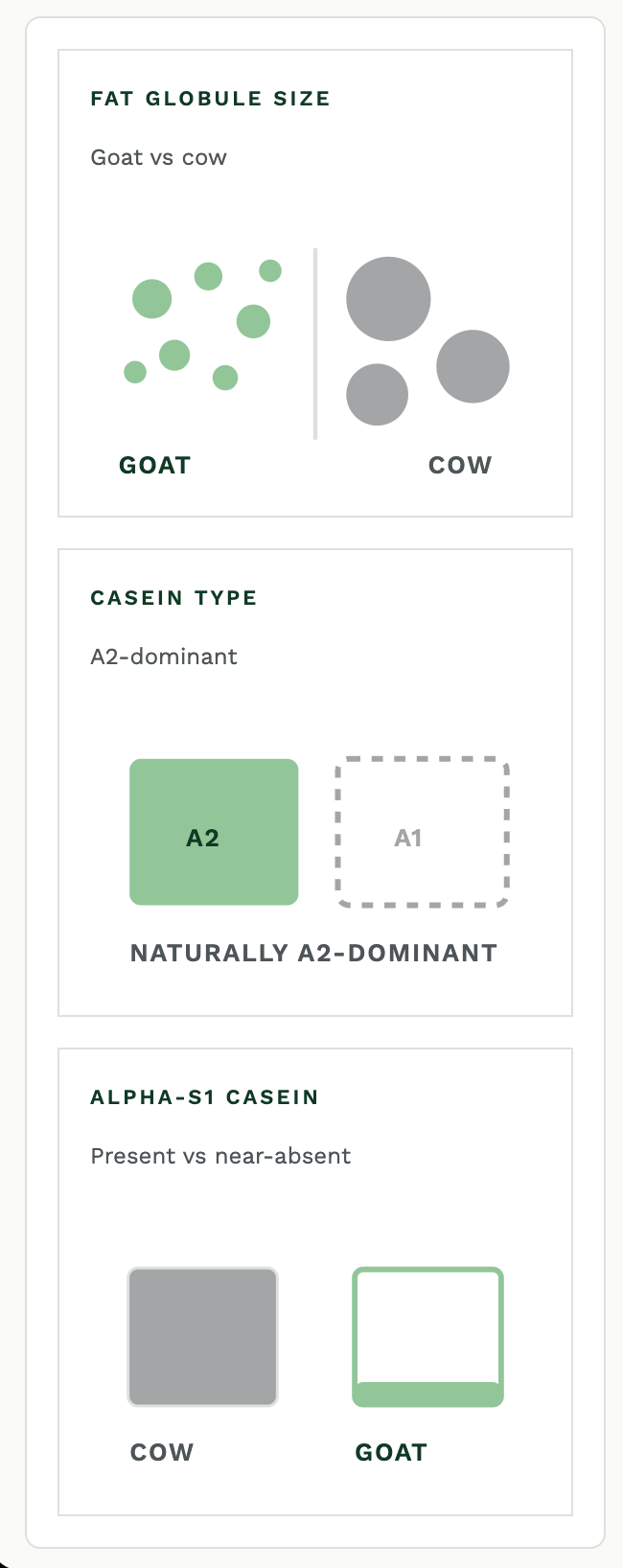 Fat globule size, casein type, and alpha-S1 casein comparison