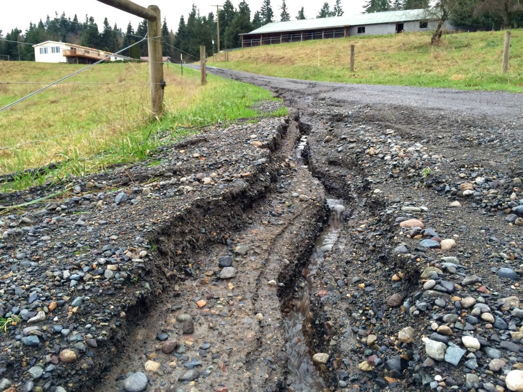 Driveway was reduced to canyons
