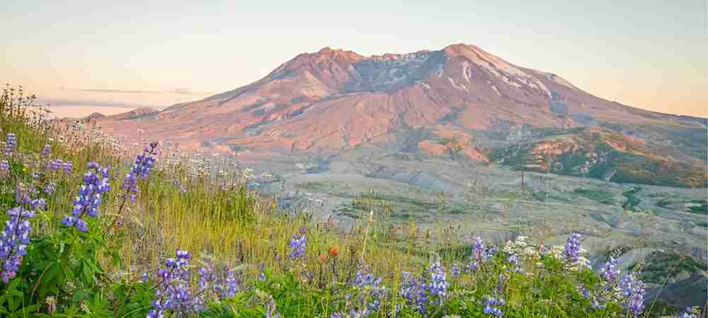 mt-st-helens-berrywhey-thin